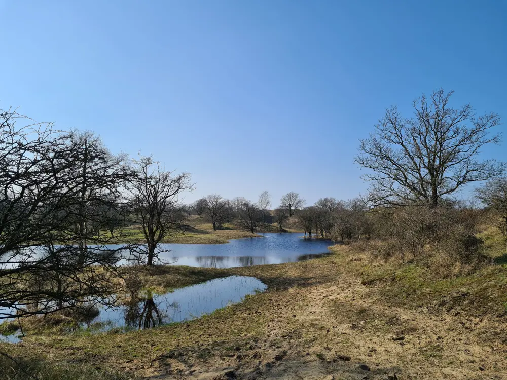  <img src="natuurgebied.jpg" alt="Rustig landschap met een kleine waterpartij, omringd door kale bomen en grasvelden. De lucht is helder en blauw. Er zijn geen zichtbare menselijke activiteiten of bouwwerken, wat wijst op een natuurlijke en ongestoorde omgeving.">