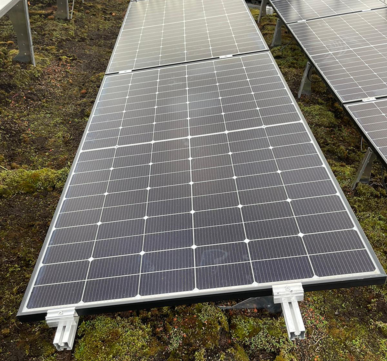 Zonnepanelen