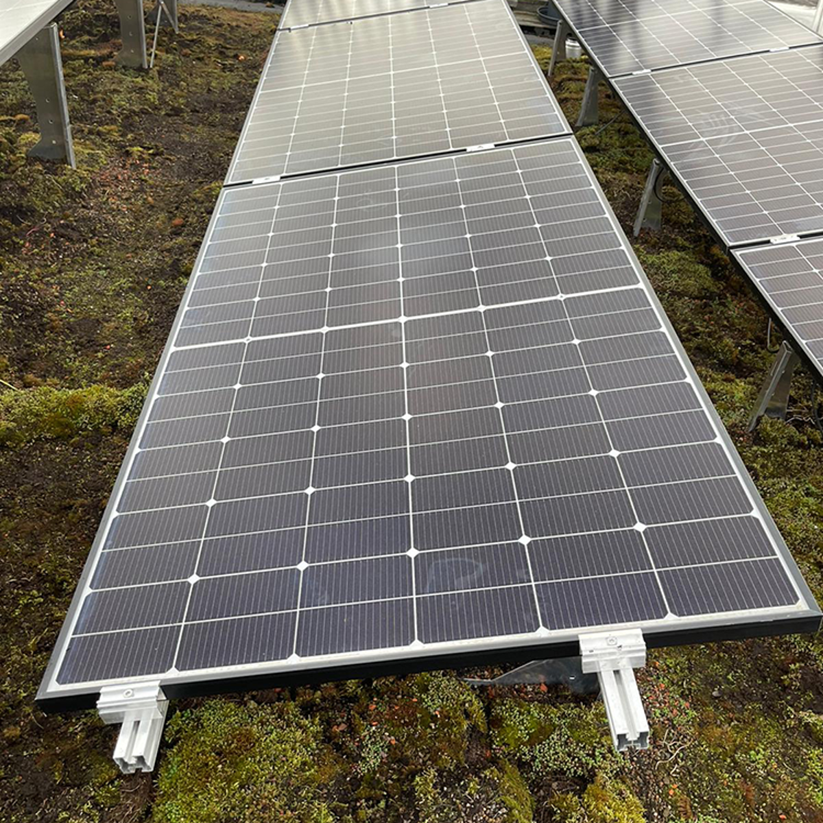 Zonnepanelen